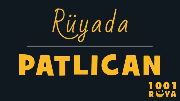 Rüyada Patlıcan Görmek, Patlıcan Toplamak, Patlıcan Yemek