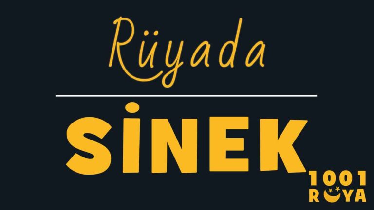 Rüyada Sinek Görmek, Kara Sinek Görmek, Sinek Öldürmek - 1001Ruya