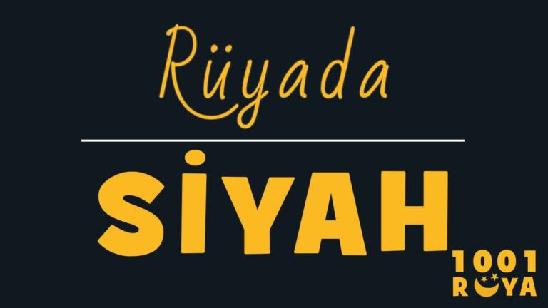 Rüyada Siyah Görmek, Siyah Yılan Görmek, Siyah Giymek - 1001Ruya